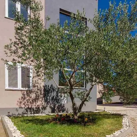 Apartment F&m *